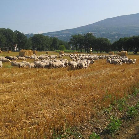 Il Tugurio Agriturismo B&B Rivotorto Bagian luar foto